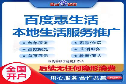 网络推广与竞价广告：双管齐下的策略案例